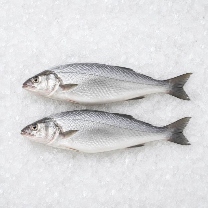 شوریده